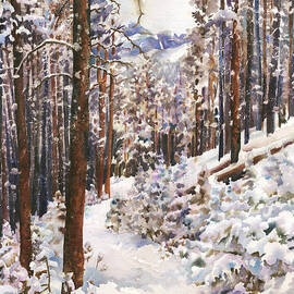 Unbroken Snow by Anne Gifford