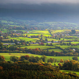 Valley Of The Charging Bulls...ireland by Bradley L. Cox