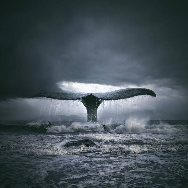 Wall Art - Photograph - Whale'nsurf by Tomasz Zaczeniuk