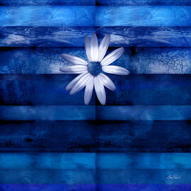 White Daisy on Blue abstract art by Ann Powell