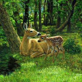 Whitetail Deer - First Spring by Crista Forest