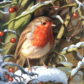 winters friend by David Price