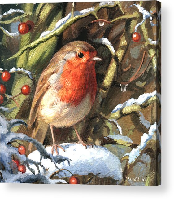 Winters Friend Acrylic Print