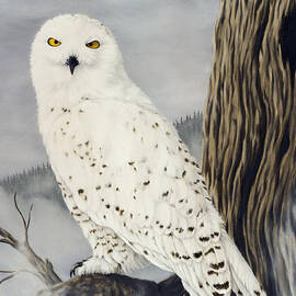 Winterwise by Rick Bainbridge