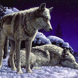 Wolf Painting - Night Watch by Crista Forest