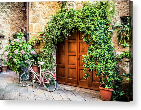 Wooden Gate With Plants In An Ancient Acrylic Print