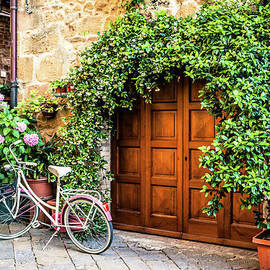 Wooden Gate With Plants In An Ancient by Giorgiomagini