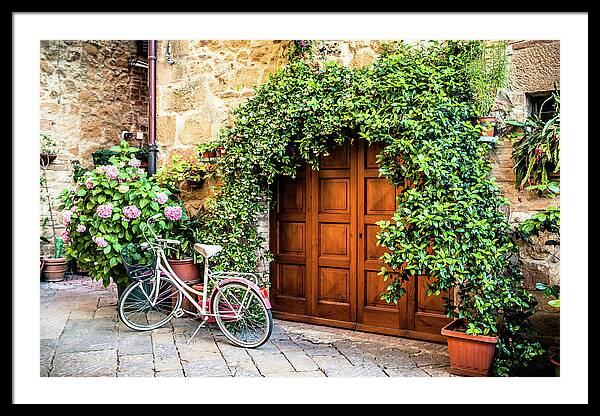 Wooden Gate With Plants In An Ancient Framed Print