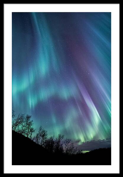Worth The Wait Framed Print