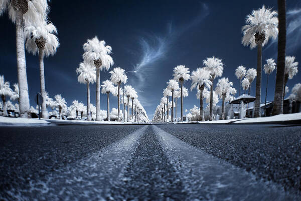 Wall Art - Photograph - X by Sean Foster
